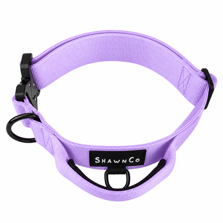 ShawnCo Basecamp Dog Collar