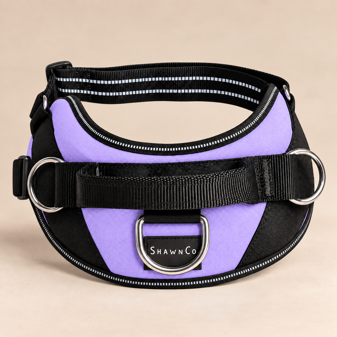 ShawnCo Essential Dog Harness