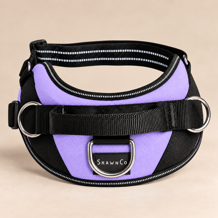 ShawnCo Essential Dog Harness
