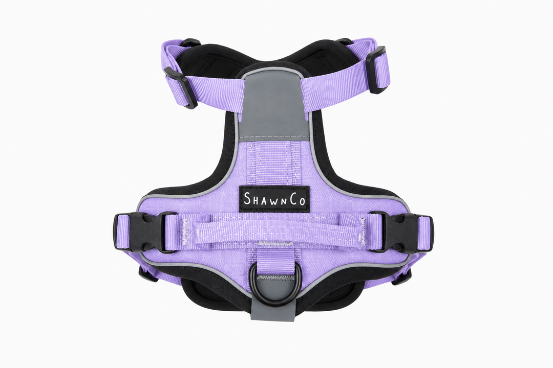 ShawnCo Basecamp Dog Harness
