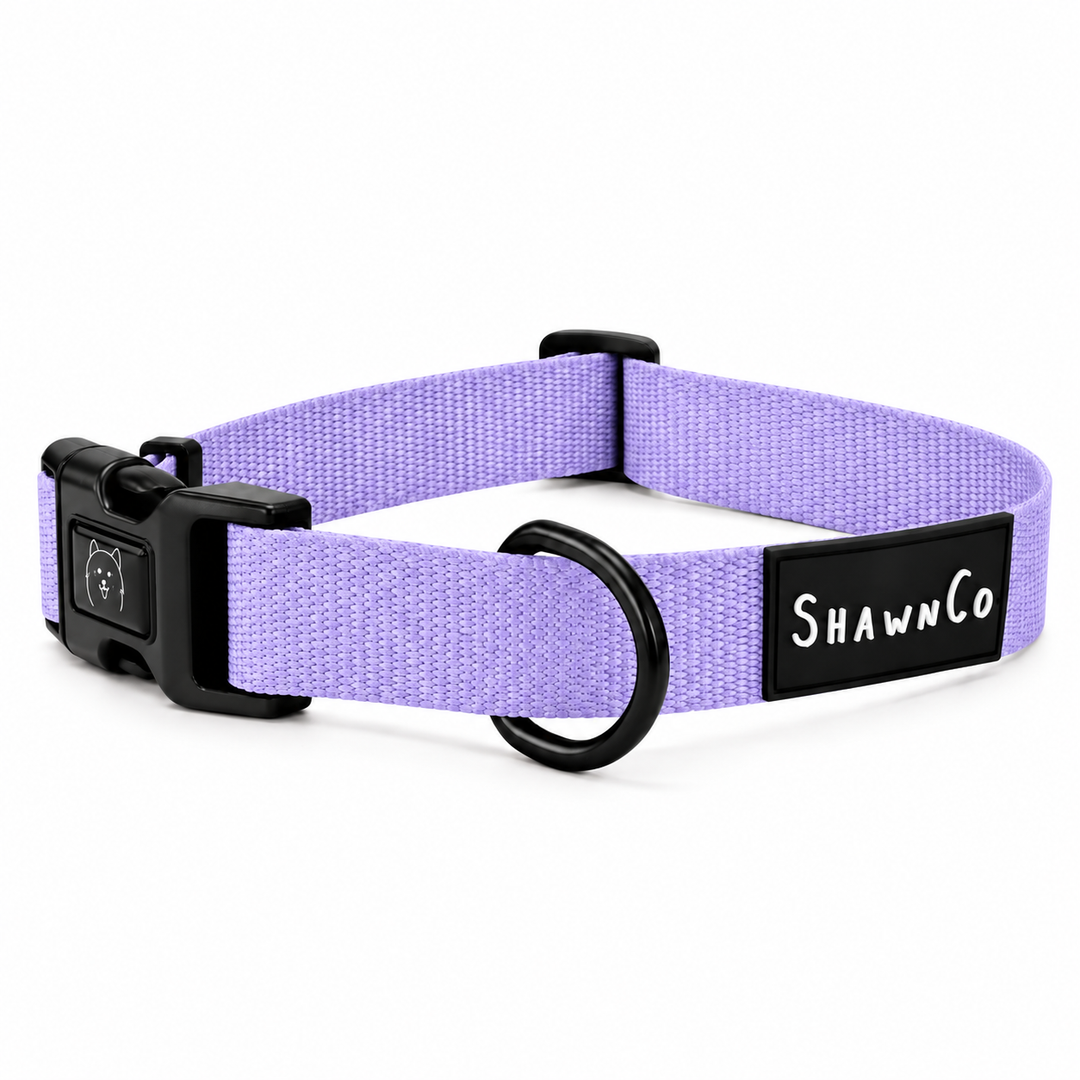 ShawnCo Dream Walk Dog Collar