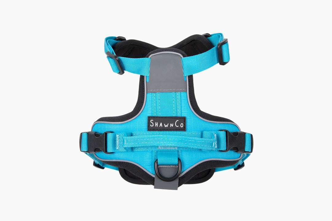 ShawnCo Basecamp Dog Harness