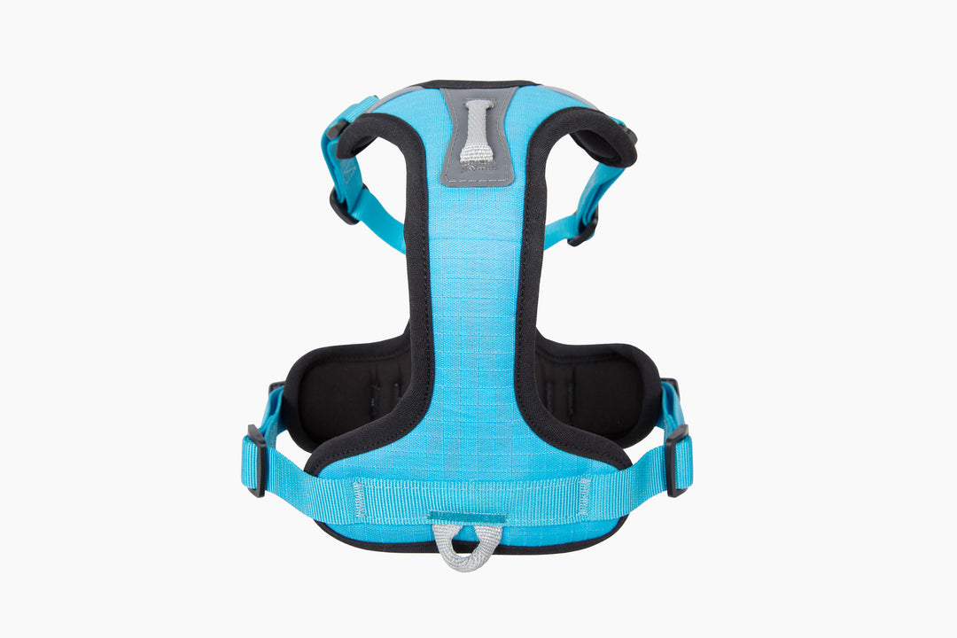ShawnCo Basecamp Dog Harness