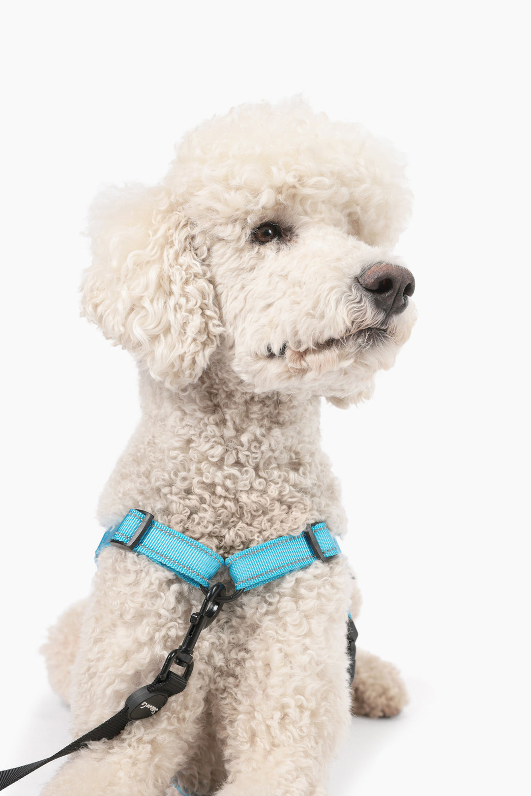 ShawnCo Dream Walk Pro Dog Harness