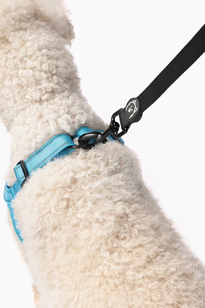 ShawnCo Dream Walk Pro Dog Harness