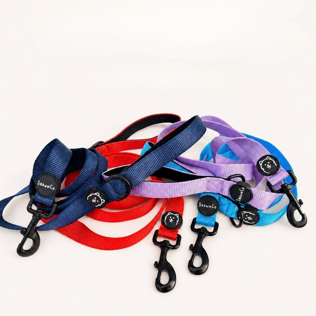 ShawnCo Dream Walk Dog Leash