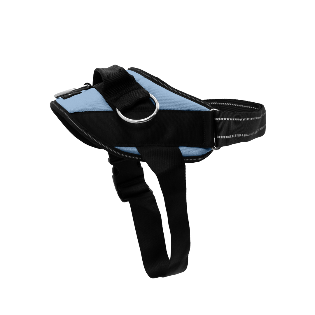 ShawnCo Essential Dog Harness