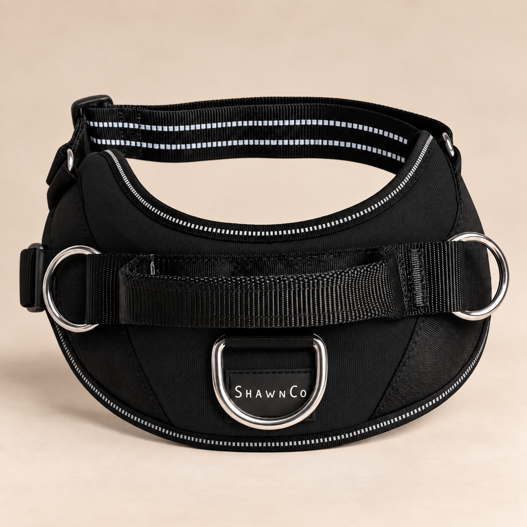 ShawnCo Essential Dog Harness