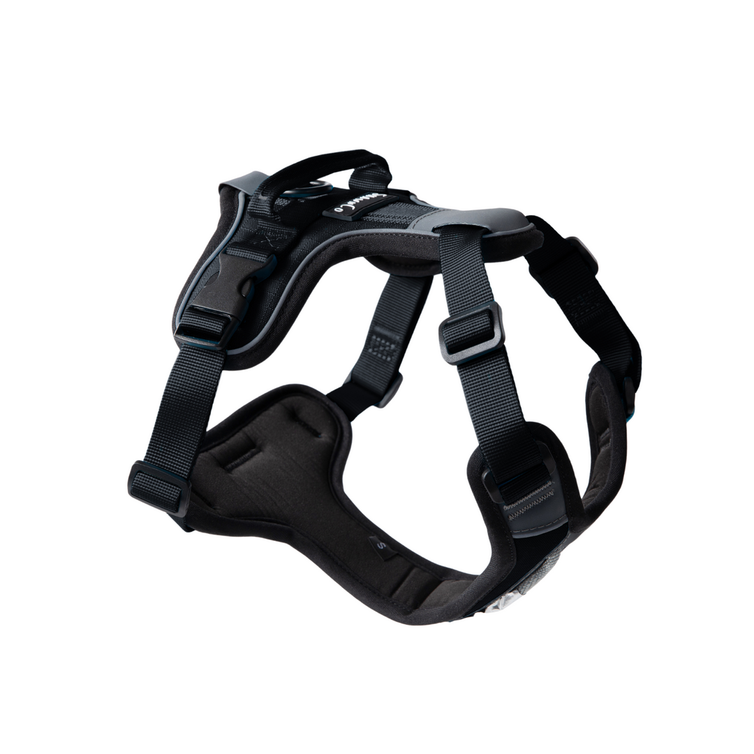 ShawnCo Basecamp Dog Harness