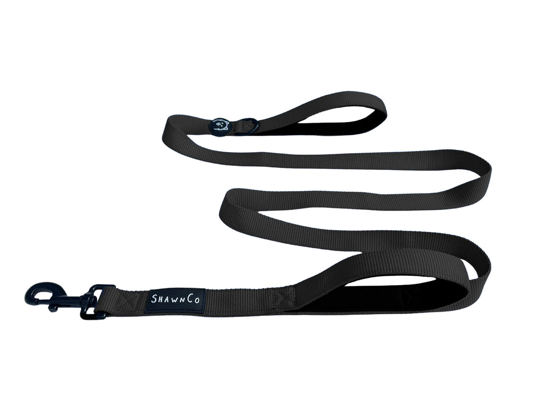 ShawnCo Dream Walk Dog Leash