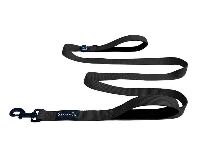 ShawnCo Dream Walk Dog Leash