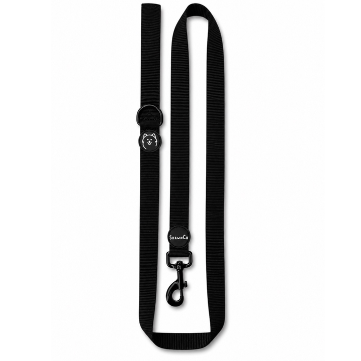 ShawnCo Dream Walk Dog Leash
