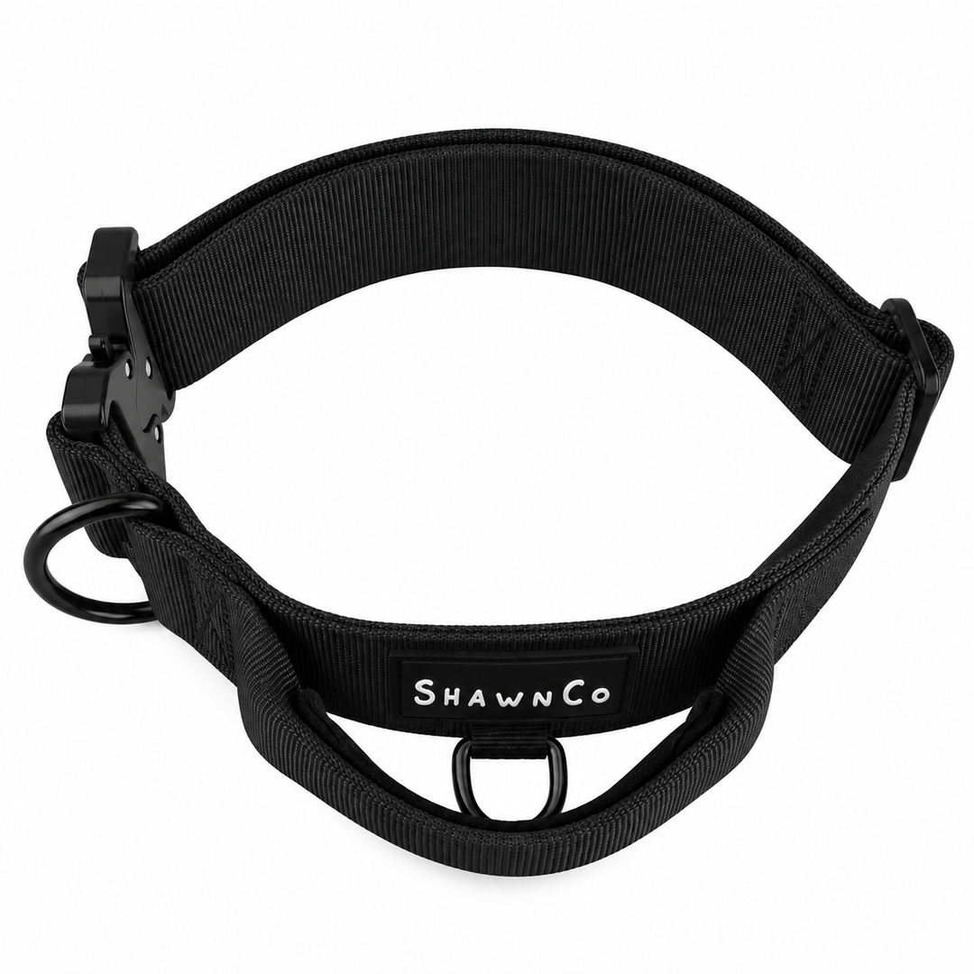 ShawnCo Basecamp Dog Collar