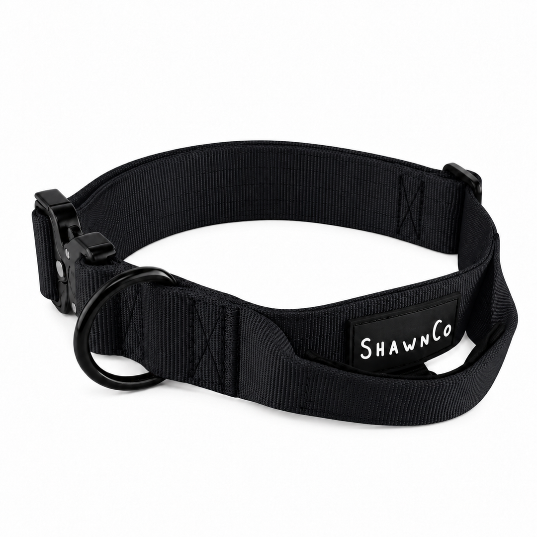 ShawnCo Basecamp Dog Collar