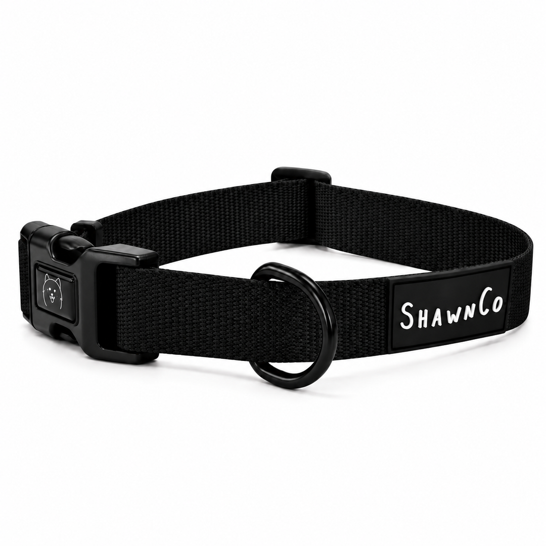 ShawnCo Dream Walk Dog Collar
