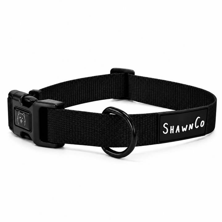ShawnCo Dream Walk Dog Collar