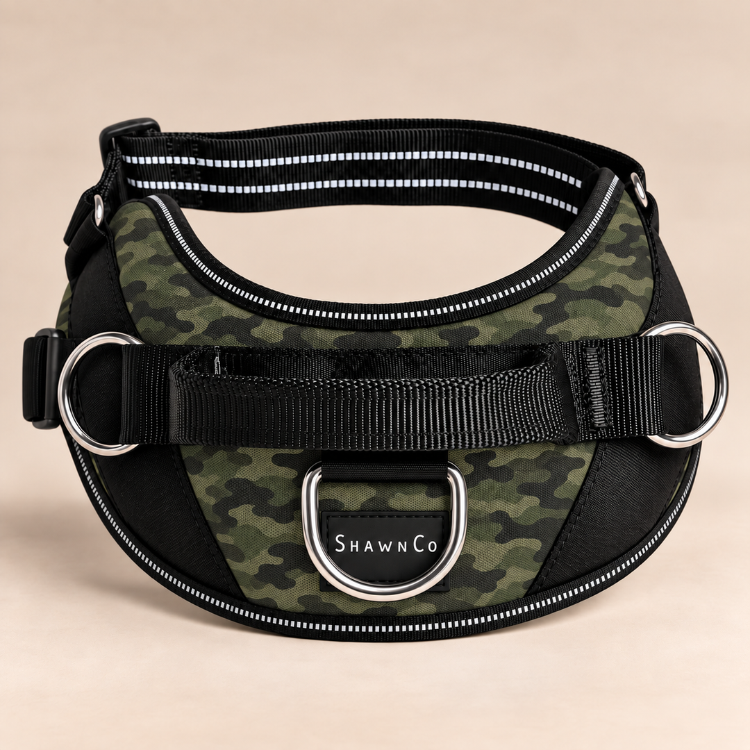 ShawnCo Essential Dog Harness