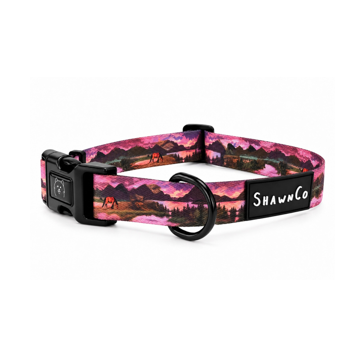ShawnCo Dream Walk Dog Collar