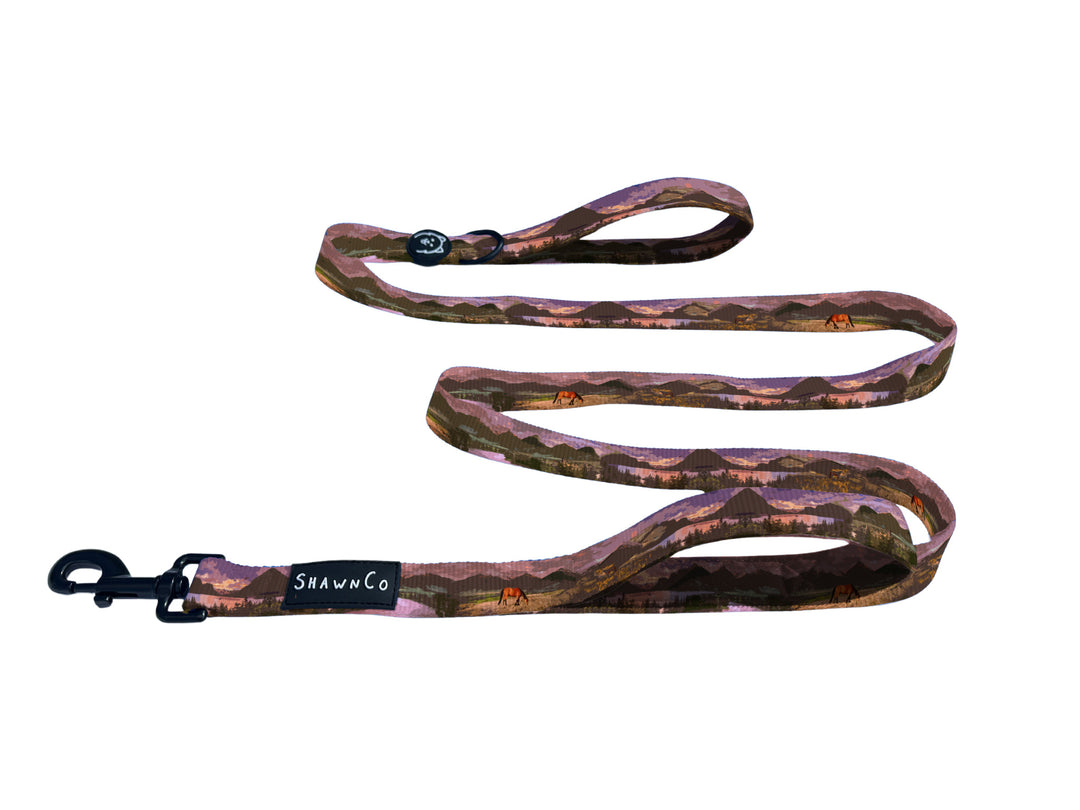 ShawnCo Dream Walk Dog Leash