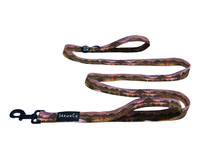 ShawnCo Dream Walk Dog Leash