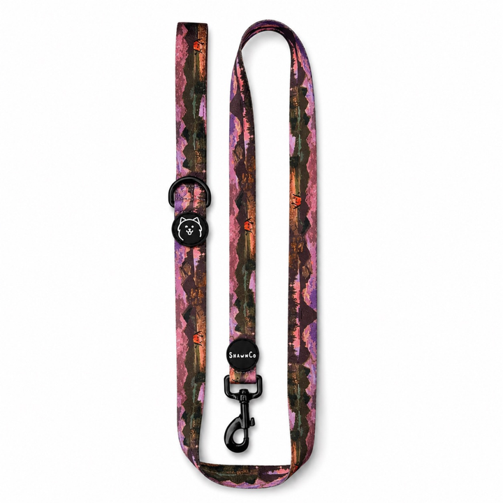 ShawnCo Dream Walk Dog Leash