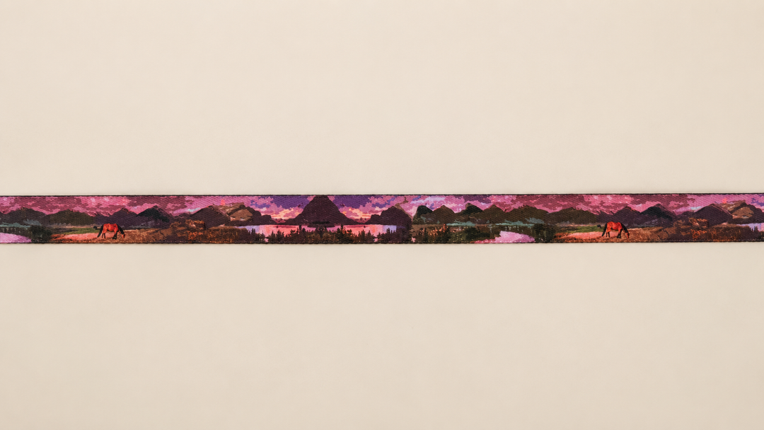 ShawnCo Dream Walk Dog Leash