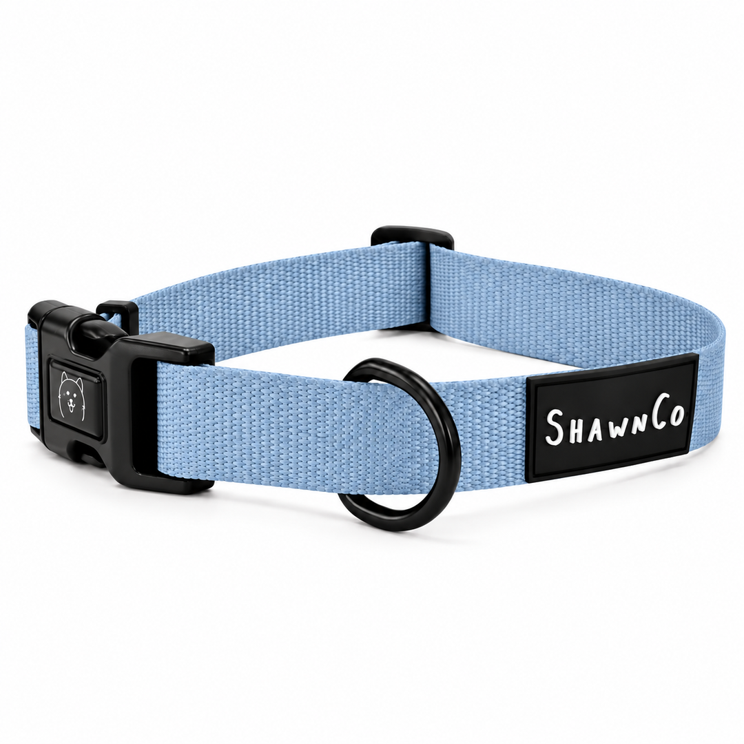 ShawnCo Dream Walk Dog Collar