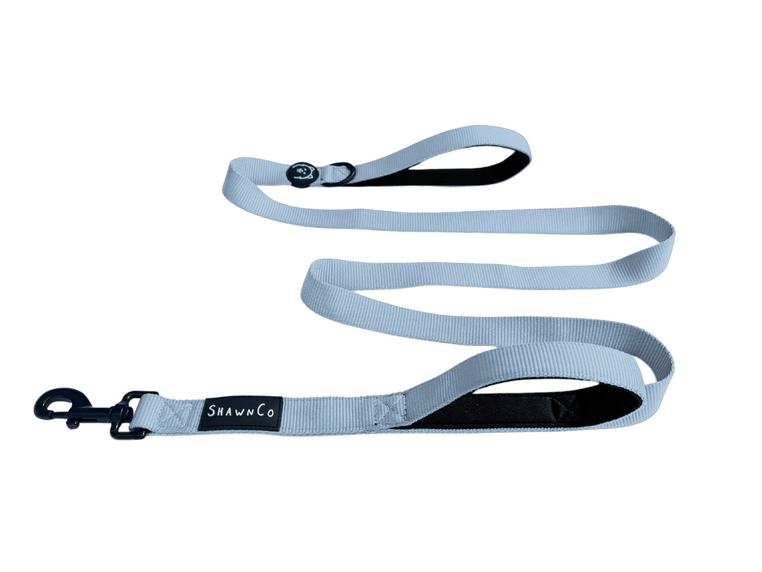 ShawnCo Dream Walk Dog Leash