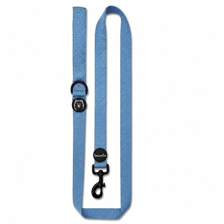 ShawnCo Dream Walk Dog Leash