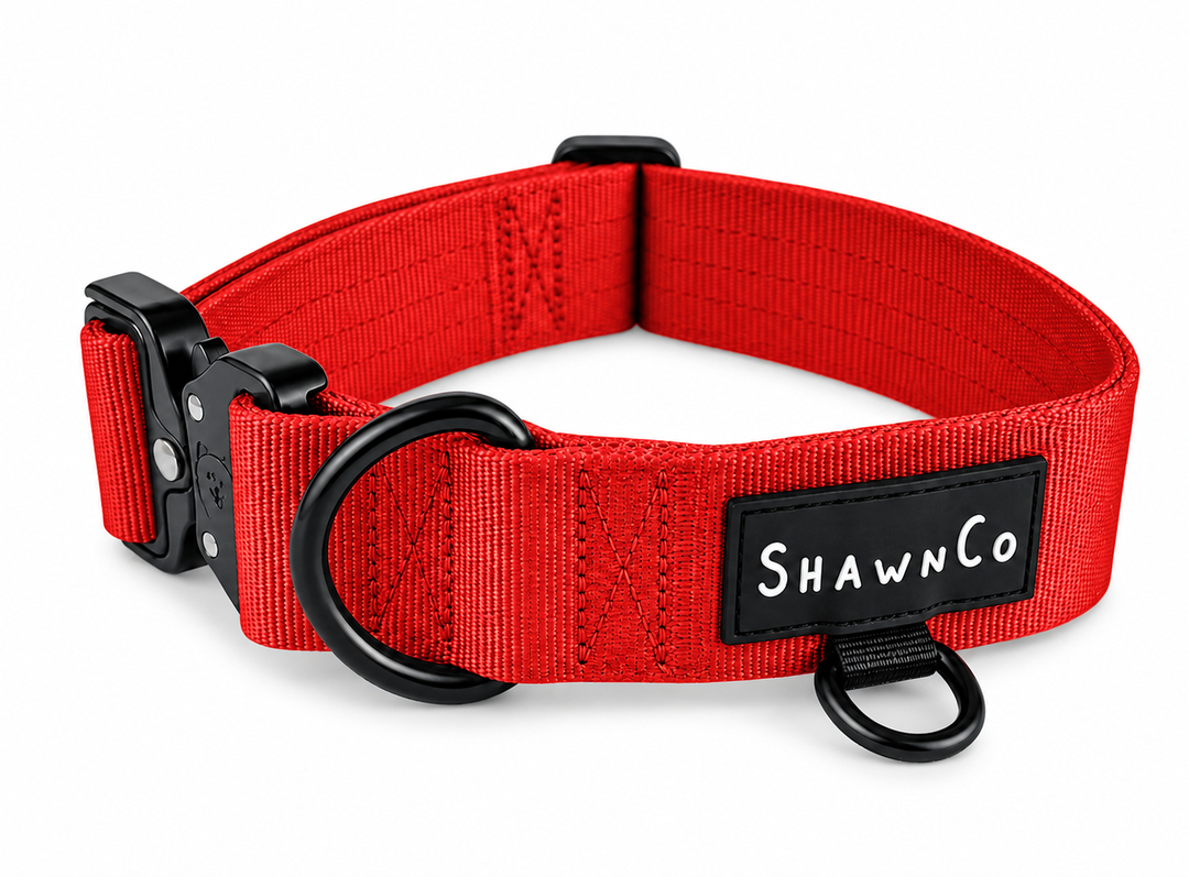 ShawnCo Basecamp Dog Collar