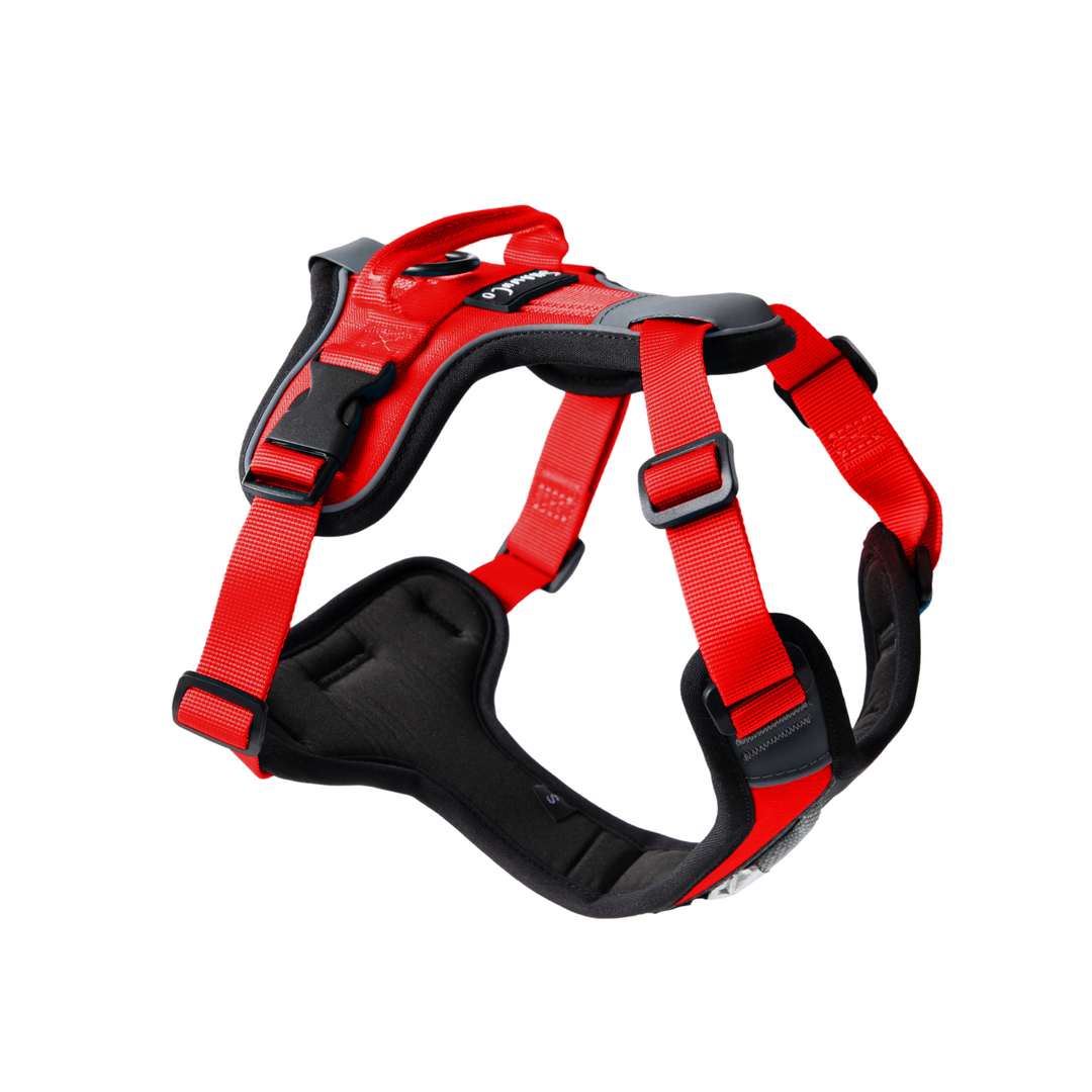ShawnCo Basecamp Dog Harness