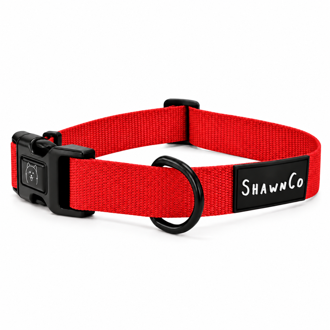 ShawnCo Dream Walk Dog Collar