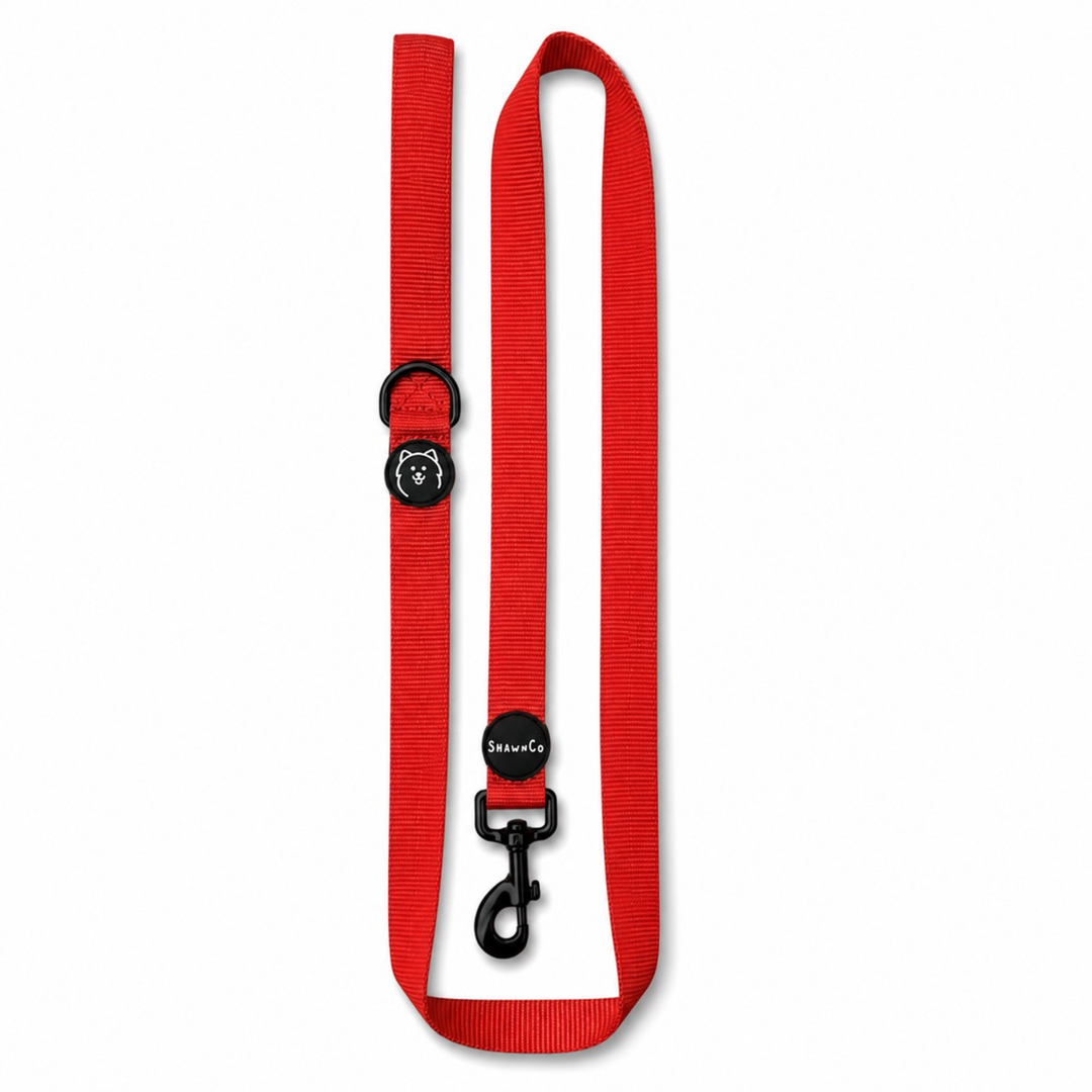 ShawnCo Dream Walk Dog Leash