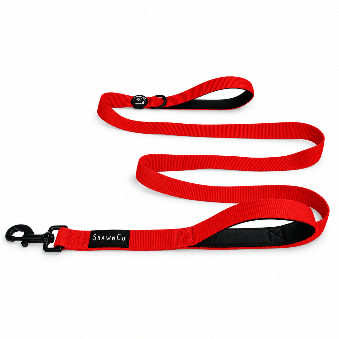 ShawnCo Dream Walk Dog Leash