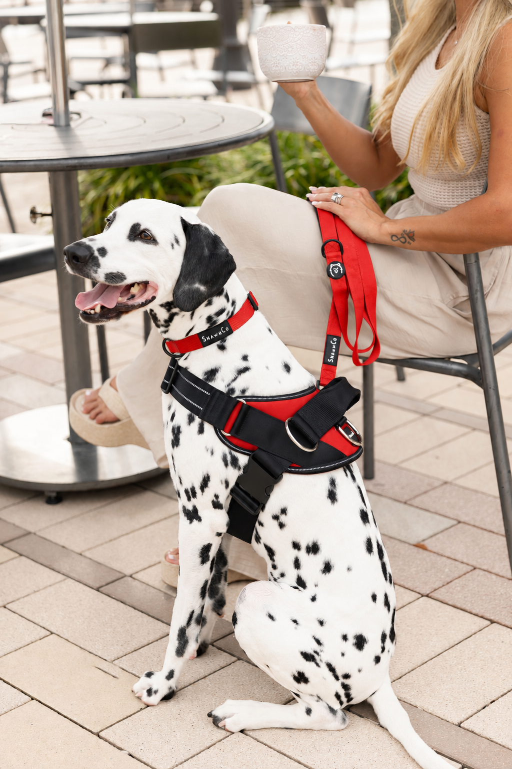 ShawnCo Essential Dog Harness