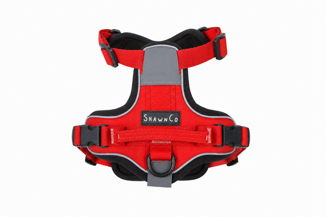 ShawnCo Basecamp Dog Harness