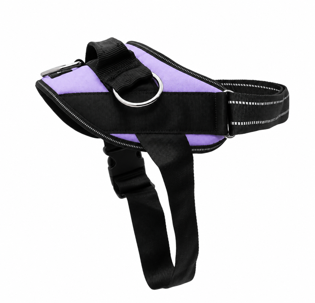 ShawnCo Essential Dog Harness