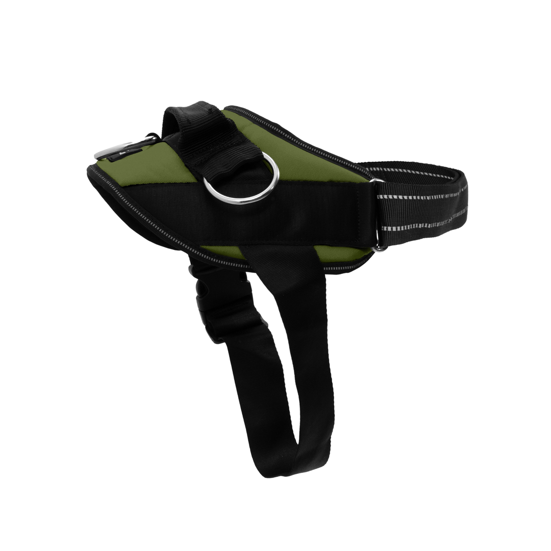 ShawnCo Essential Dog Harness