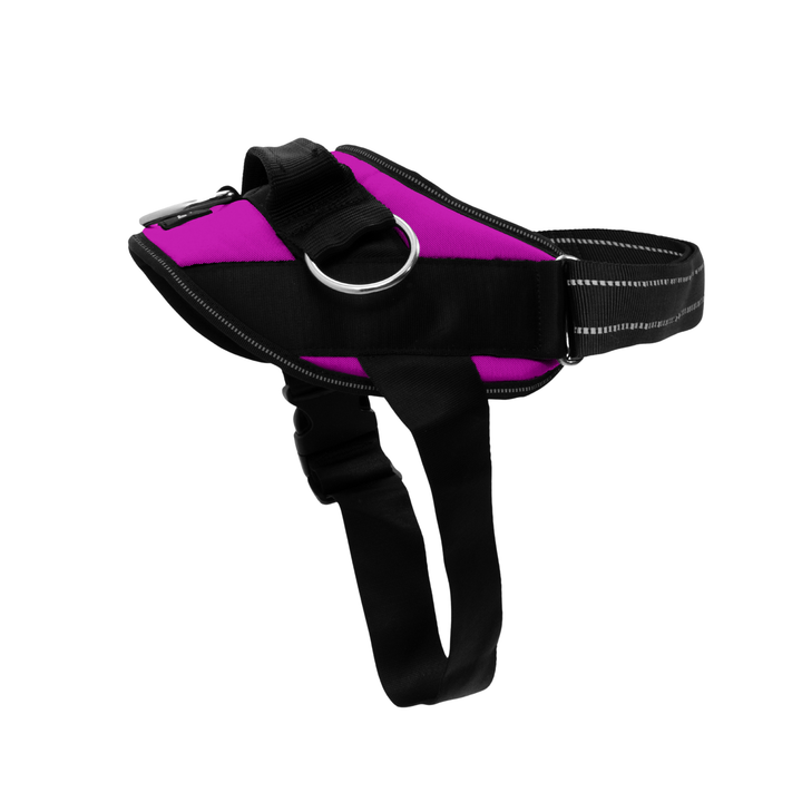 ShawnCo Essential Dog Harness