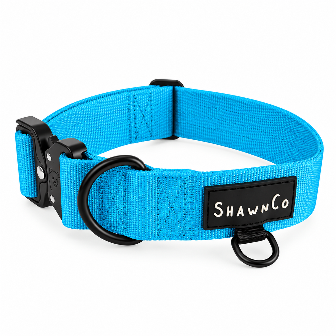 ShawnCo Basecamp Dog Collar