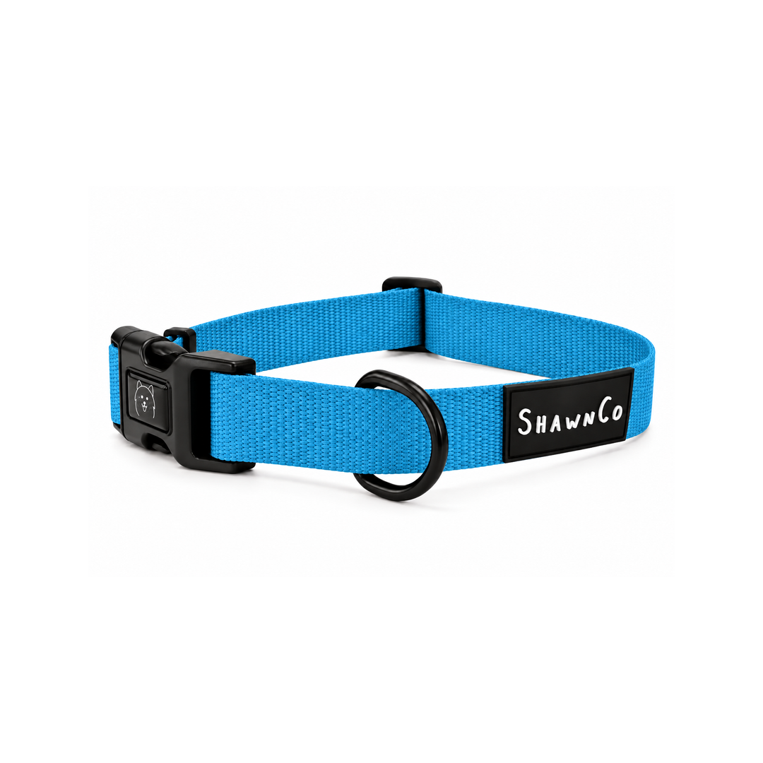 ShawnCo Dream Walk Dog Collar