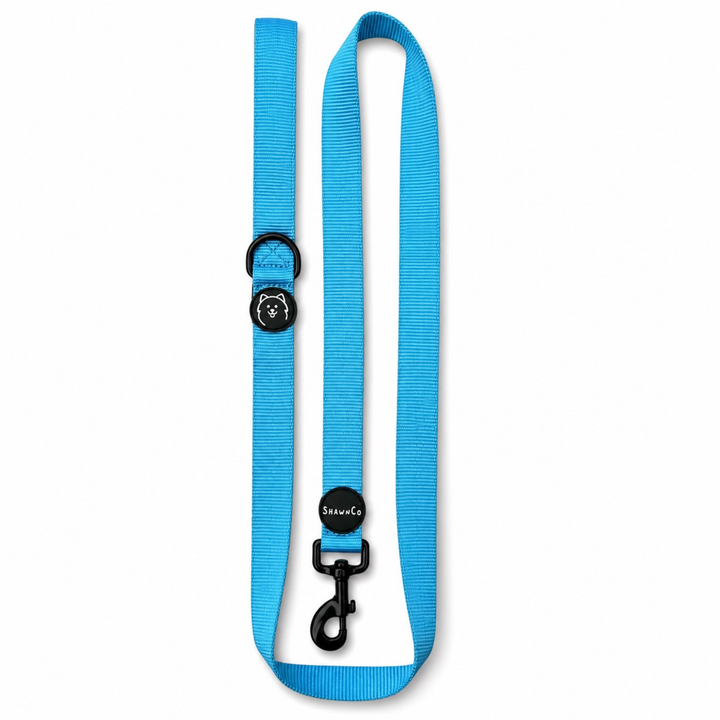 ShawnCo Dream Walk Dog Leash