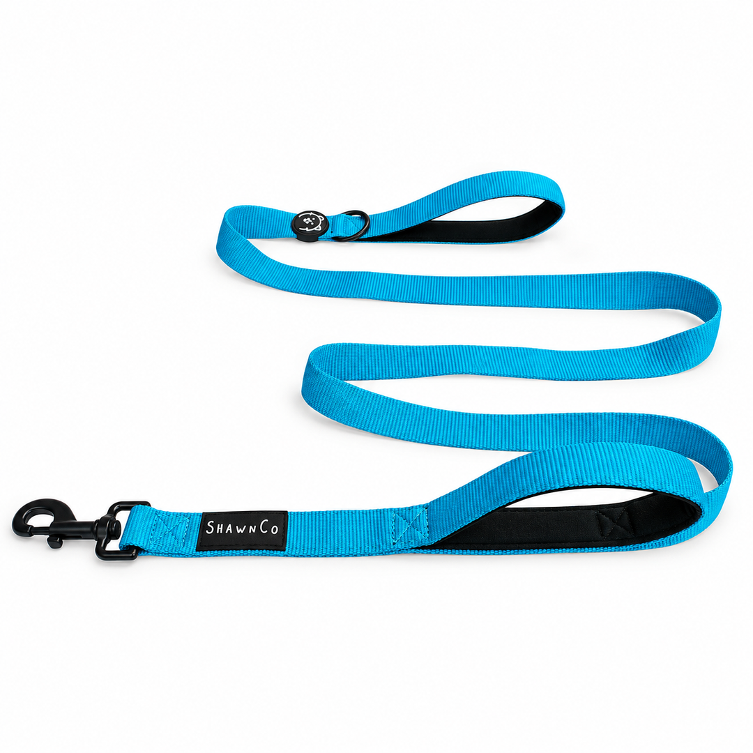 ShawnCo Dream Walk Dog Leash