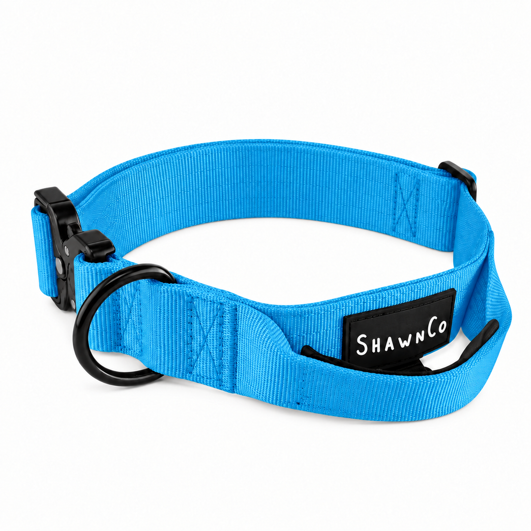 ShawnCo Basecamp Dog Collar