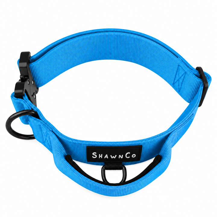 ShawnCo Basecamp Dog Collar