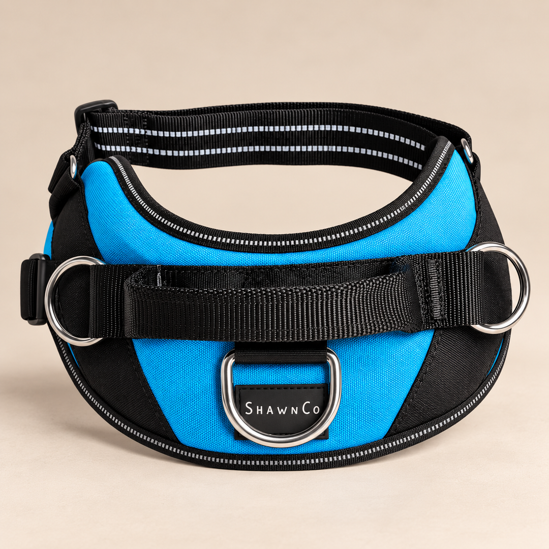 ShawnCo Essential Dog Harness