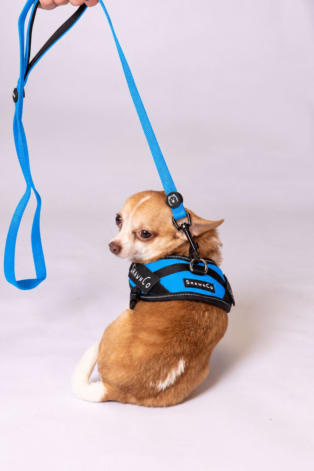 ShawnCo Essential Pro Dog Harness