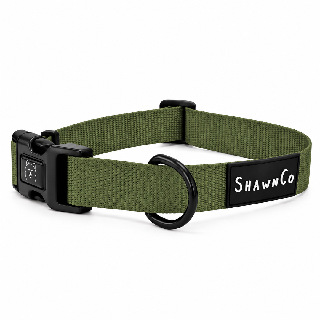 ShawnCo Dream Walk Dog Collar