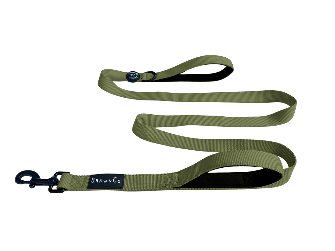 ShawnCo Dream Walk Dog Leash