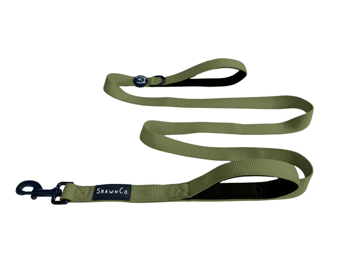 ShawnCo Dream Walk Dog Leash